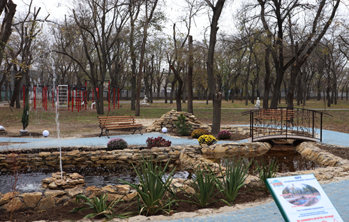 В Херсонском госуниверситете высадили более 100 саженцев — озеленение приурочили к 104-й годовщине вуза